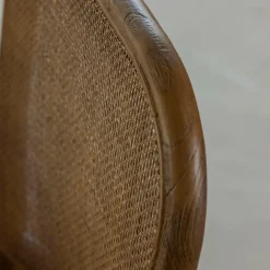 Made in Meubles Chaise<Chaise en bois d'orme et cannage Luzian (lot de 2)