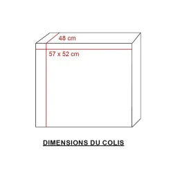 Made in Meubles Chaise<Chaise en polyester noir Nino (lot de 2)