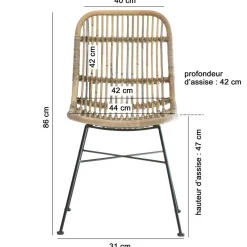 Made in Meubles Chaise<Chaise en rotin et métal Rattan (lot de 2)