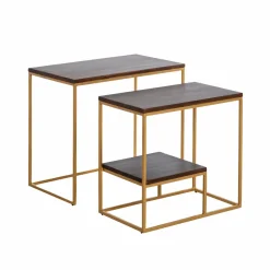 Made in Meubles Table Console<Set de deux consoles en bois de manguier et métal Léon