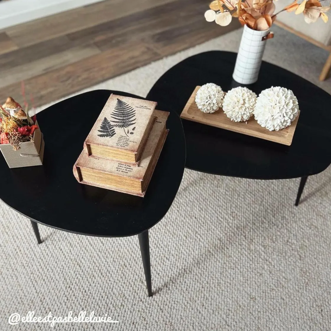 Made in Meubles Table Basse|Table Gigogne<Table basse gigogne en bois de manguier noir Valério